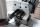 Fotografie #5 - Dowel Boring, Drilling Machine SCHEER: 
