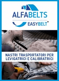 Alfabelts