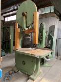 Primultini -