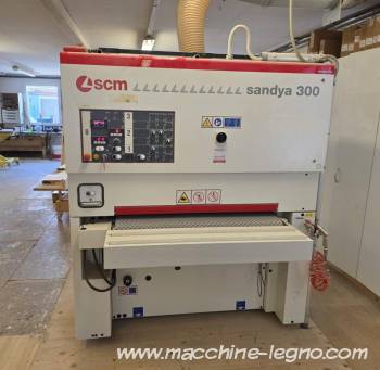 SCM SANDYA 300 RCS 110